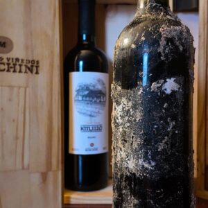 Cava submarina Km. 1120 Malbec cosecha 2022